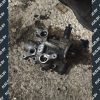 Кронштейн масляного фильтра Audi A4 B6 / B7 06B115417F - купить в Минске